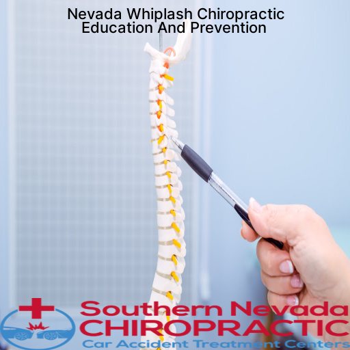 Whiplash Chiropractor Education And Prevention